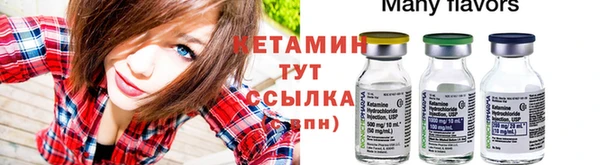 твердый Новодвинск