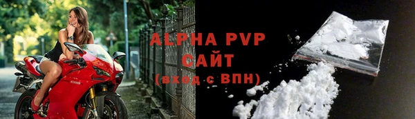 твердый Новодвинск