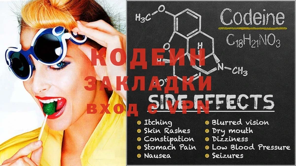 стаф Новозыбков