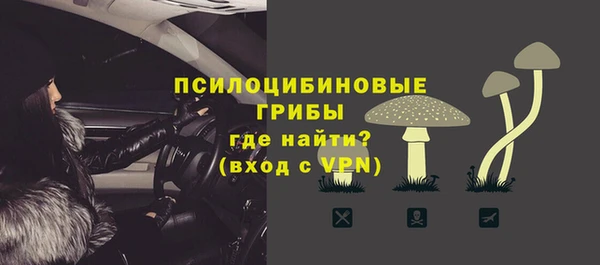 твердый Новодвинск