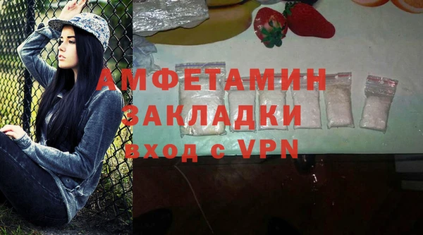 стаф Новозыбков