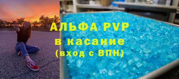 хмурый Нея