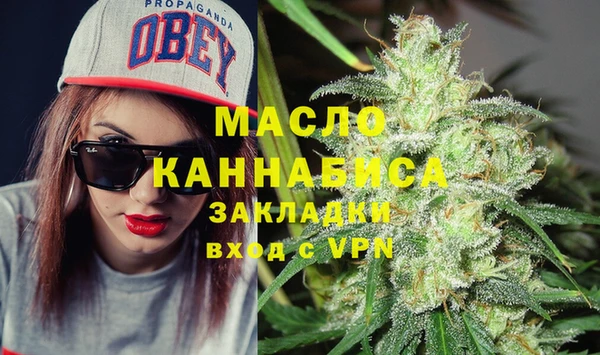стаф Новозыбков