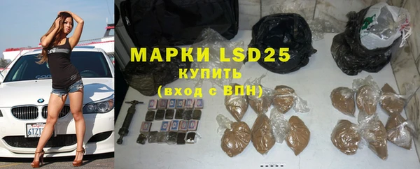 твердый Новодвинск