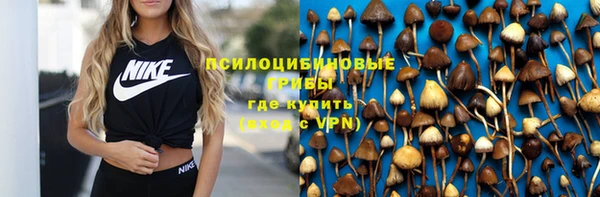 твердый Новодвинск