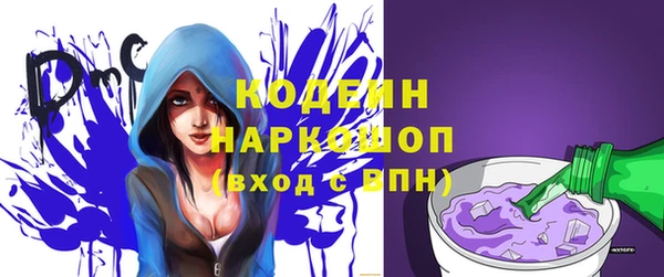 хмурый Нея