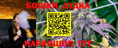 скорость Гатчина