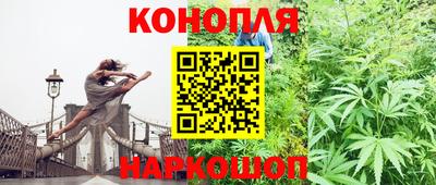 метадон Гай
