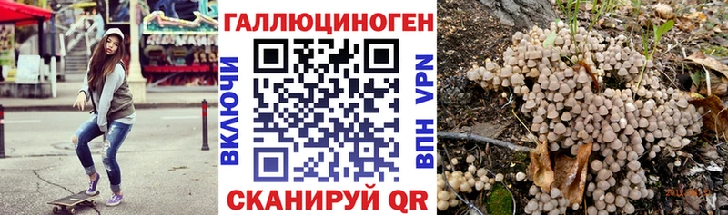 продажа наркотиков  Качканар  Галлюциногенные грибы Psilocybine cubensis 