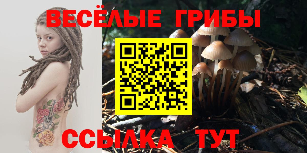 Галлюциногенные грибы мицелий  Вход с VPN  Качканар 