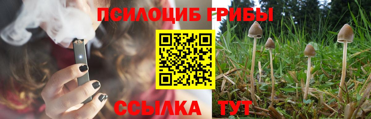Галлюциногенные грибы MAGIC MUSHROOMS Качканар