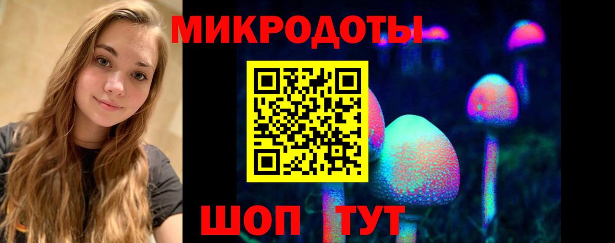 Галлюциногенные грибы Cubensis Качканар